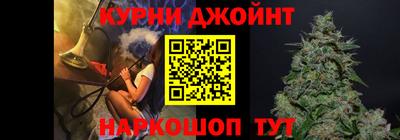 стафф Новозыбков