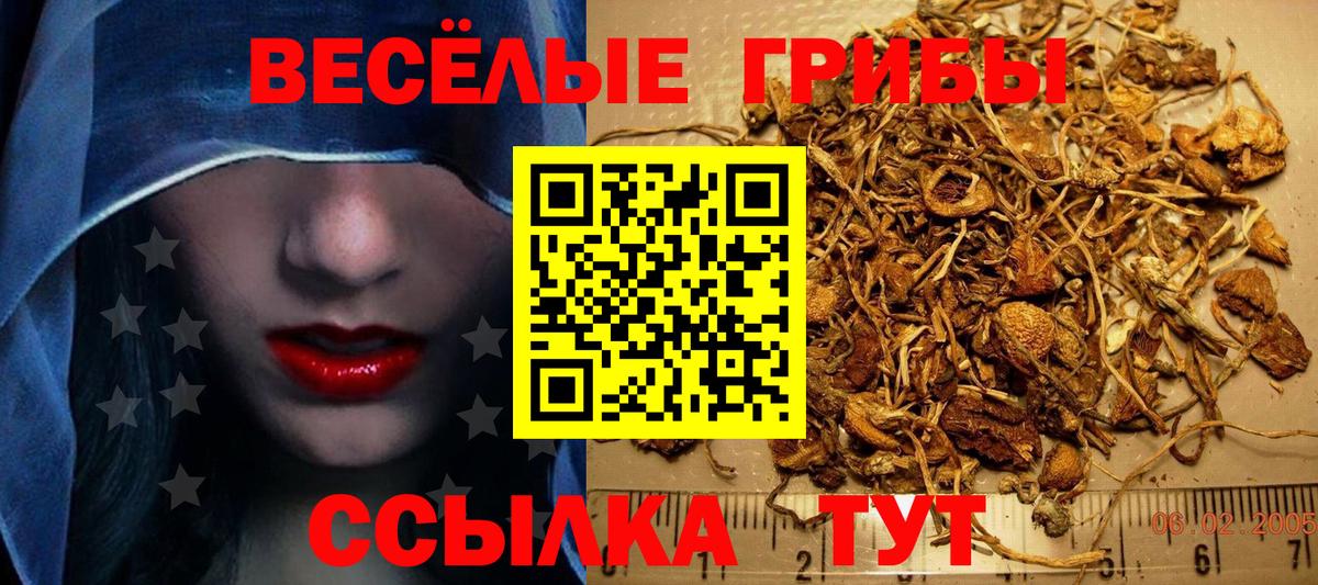 Галлюциногенные грибы Psilocybe  Вход с VPN  Сорочинск  Псилоцибиновые грибы Psilocybe 