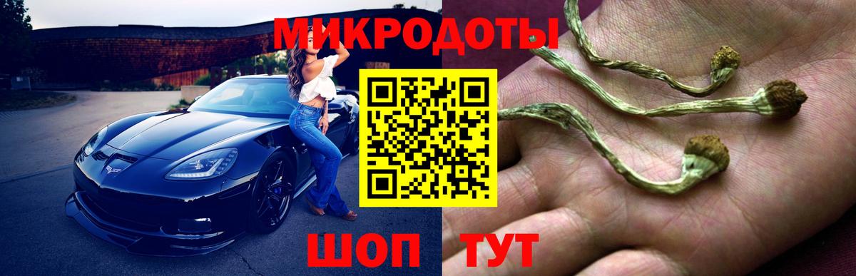Галлюциногенные грибы мицелий Сорочинск